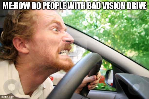 Bad Driver | ME:HOW DO PEOPLE WITH BAD VISION DRIVE | image tagged in bad driver | made w/ Imgflip meme maker