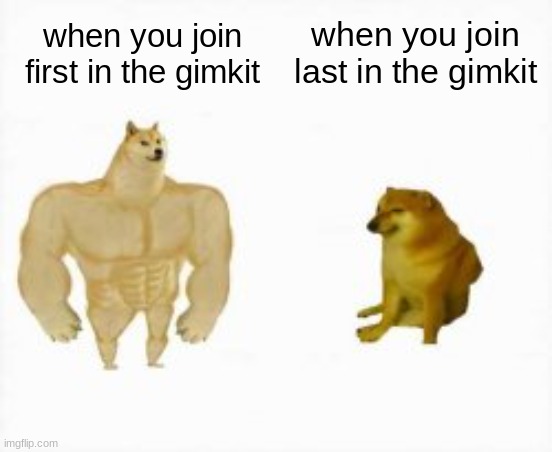 Two dogs | when you join last in the gimkit; when you join first in the gimkit | image tagged in two dogs | made w/ Imgflip meme maker