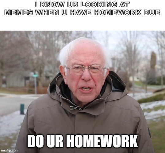 go study | I KNOW UR LOOKING AT MEMES WHEN U HAVE HOMEWORK DUE; DO UR HOMEWORK | image tagged in bernie sanders once again asking | made w/ Imgflip meme maker