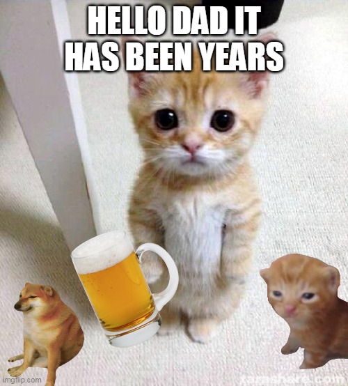 Cute Cat | HELLO DAD IT HAS BEEN YEARS | image tagged in memes,cute cat | made w/ Imgflip meme maker