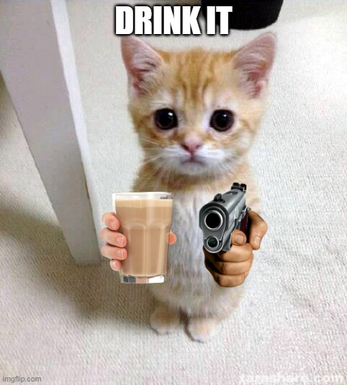 Cute Cat Meme | DRINK IT | image tagged in memes,cute cat | made w/ Imgflip meme maker