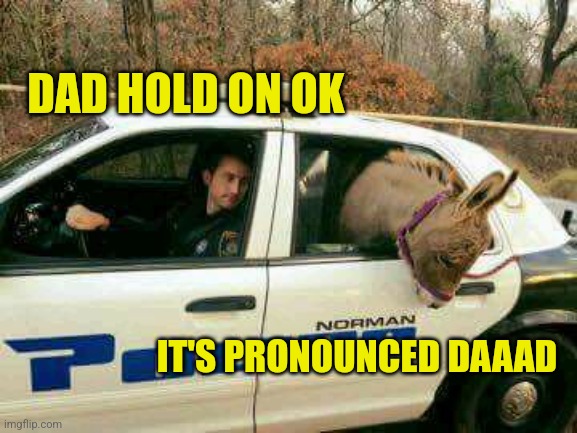 Donkey in Police Car | DAD HOLD ON OK; IT'S PRONOUNCED DAAAD | image tagged in donkey in police car | made w/ Imgflip meme maker