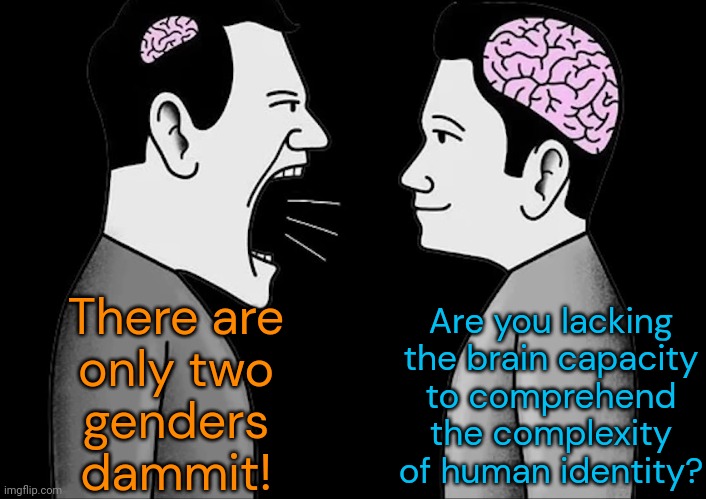 I kind of feel sorry for people like this. | Are you lacking the brain capacity
to comprehend the complexity of human identity? There are
only two
genders
dammit! | image tagged in tiny brain vs mature brain,transgender,non binary,lgbt,cognitive dissonance | made w/ Imgflip meme maker