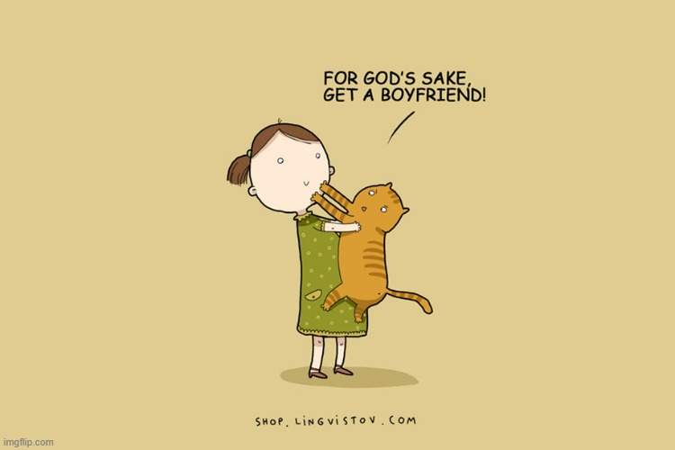 A Cat's Way Of Thinking | image tagged in memes,comics/cartoons,cat lady,i love you,cats,boyfriend | made w/ Imgflip meme maker