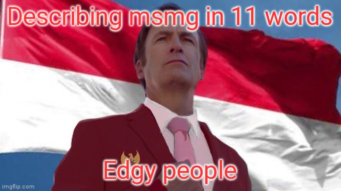 INDONESIA MENTIONED!!!!!! | Describing msmg in 11 words; Edgy people | image tagged in indonesia mentioned | made w/ Imgflip meme maker