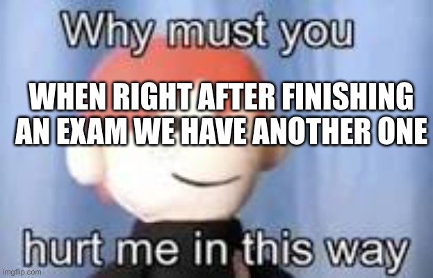 This right tho | WHEN RIGHT AFTER FINISHING AN EXAM WE HAVE ANOTHER ONE | image tagged in why must you hurt me in this way,school,exams | made w/ Imgflip meme maker
