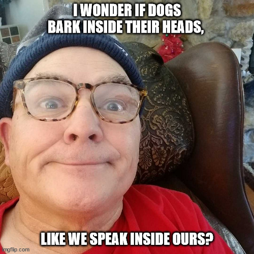 Durl Earl | I WONDER IF DOGS BARK INSIDE THEIR HEADS, LIKE WE SPEAK INSIDE OURS? | image tagged in durl earl | made w/ Imgflip meme maker