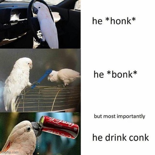 Conk | image tagged in repost,maybe,idk | made w/ Imgflip meme maker