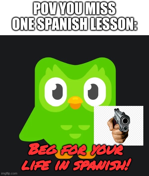 Can you let my family go now? | POV YOU MISS ONE SPANISH LESSON:; Beg for your life in spanish! | image tagged in duolingo gun,relatable,memes | made w/ Imgflip meme maker