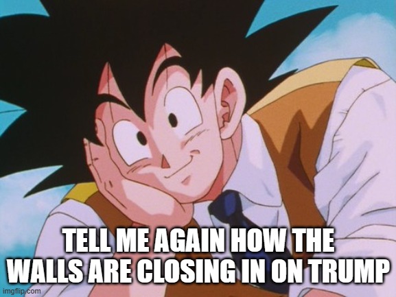 Slowest walls ever | TELL ME AGAIN HOW THE WALLS ARE CLOSING IN ON TRUMP | image tagged in memes,condescending goku | made w/ Imgflip meme maker