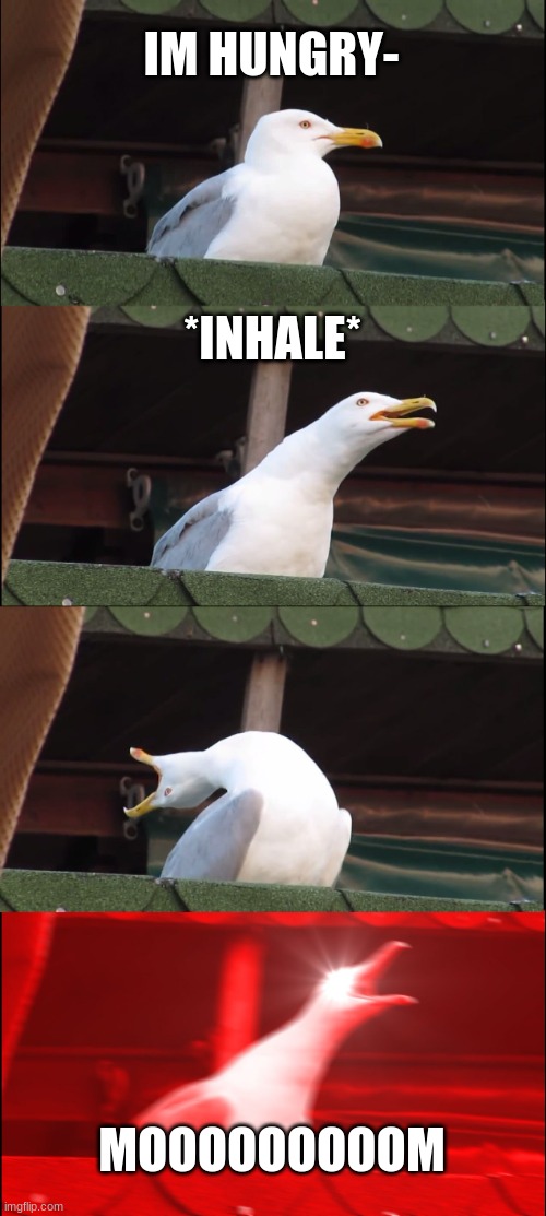 Inhaling Seagull Meme | IM HUNGRY-; *INHALE*; MOOOOOOOOOM | image tagged in memes,inhaling seagull,mom | made w/ Imgflip meme maker