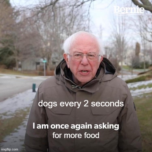 free epic Kiviak | dogs every 2 seconds; for more food | image tagged in memes,bernie i am once again asking for your support | made w/ Imgflip meme maker