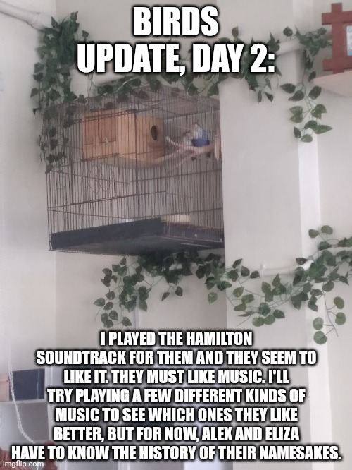 BIRDS UPDATE, DAY 2:; I PLAYED THE HAMILTON SOUNDTRACK FOR THEM AND THEY SEEM TO LIKE IT. THEY MUST LIKE MUSIC. I'LL TRY PLAYING A FEW DIFFERENT KINDS OF MUSIC TO SEE WHICH ONES THEY LIKE BETTER, BUT FOR NOW, ALEX AND ELIZA HAVE TO KNOW THE HISTORY OF THEIR NAMESAKES. | made w/ Imgflip meme maker