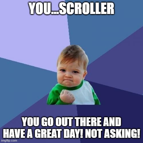 Here's your motivation :) |  YOU...SCROLLER; YOU GO OUT THERE AND HAVE A GREAT DAY! NOT ASKING! | image tagged in memes,success kid | made w/ Imgflip meme maker