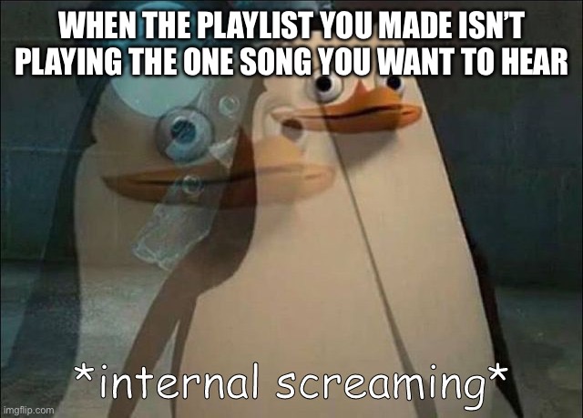 When The Playlist Won’t Play A Certain Song | WHEN THE PLAYLIST YOU MADE ISN’T PLAYING THE ONE SONG YOU WANT TO HEAR | image tagged in private internal screaming,music,playlist,one song,listen | made w/ Imgflip meme maker