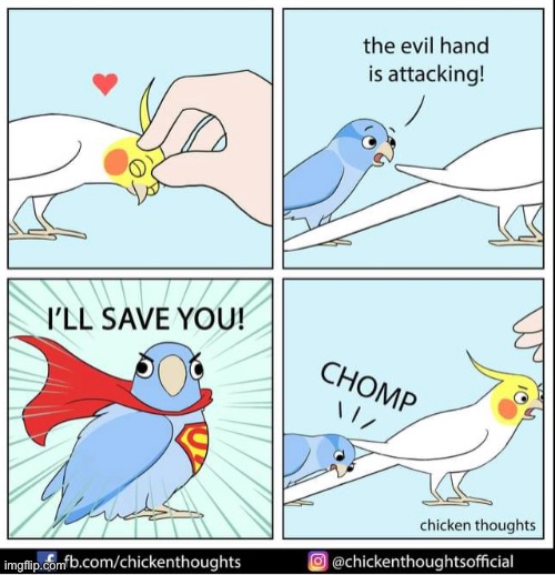 Birb comic: superbirb | image tagged in birb,comics | made w/ Imgflip meme maker