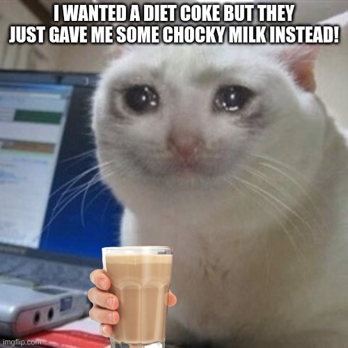 not good | I WANTED A DIET COKE BUT THEY JUST GAVE ME SOME CHOCKY MILK INSTEAD! | image tagged in crying cat | made w/ Imgflip meme maker