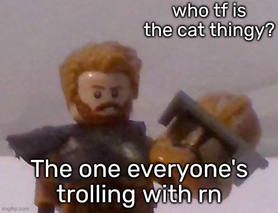 Commander Cross | who tf is the cat thingy? The one everyone's trolling with rn | image tagged in commander cross | made w/ Imgflip meme maker