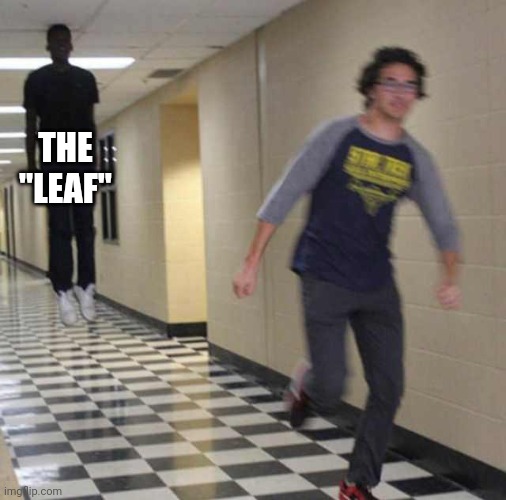 floating boy chasing running boy | THE "LEAF" | image tagged in floating boy chasing running boy | made w/ Imgflip meme maker