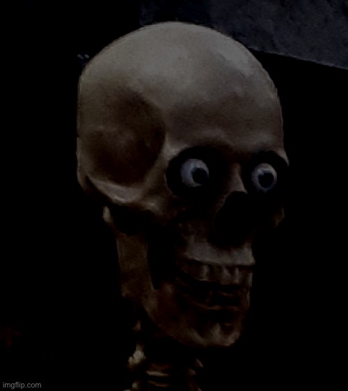 Traumatized Skeleton | image tagged in traumatized skeleton | made w/ Imgflip meme maker