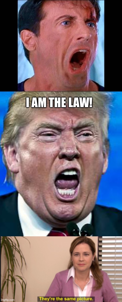 I AM THE LAW! | image tagged in judge dredd - you betrayed the law,trump scream,they're the same picture | made w/ Imgflip meme maker