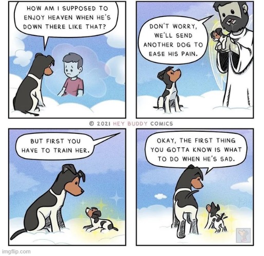 How it goes in heaven… | image tagged in wholesome,comics/cartoons | made w/ Imgflip meme maker