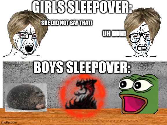 the boys sleepovers are crazy | GIRLS SLEEPOVER:; SHE DID NOT SAY THAT! UH HUH! BOYS SLEEPOVER: | image tagged in boys vs girls,truth,funny | made w/ Imgflip meme maker