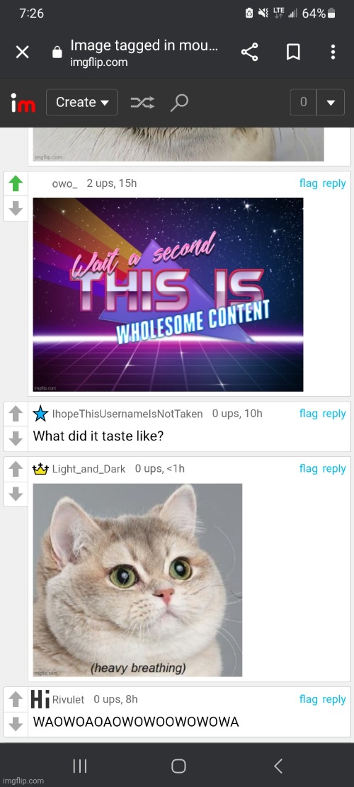 This was on a meme with the picture of a cat | image tagged in cat,cursed,comments | made w/ Imgflip meme maker