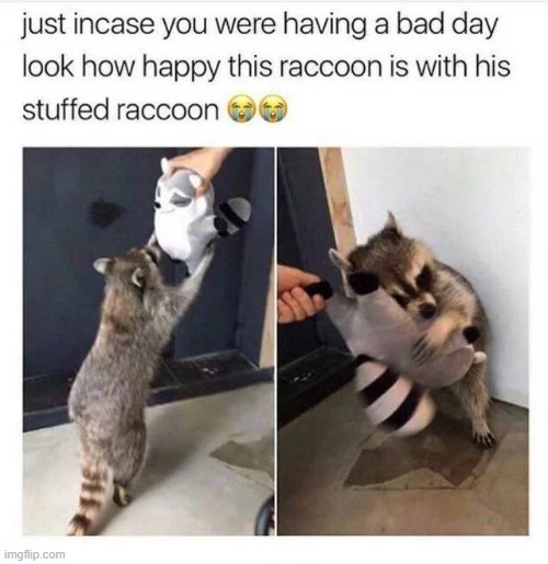 Made my day | image tagged in memes,funny,wholesome | made w/ Imgflip meme maker
