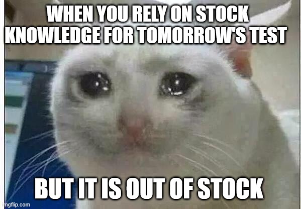 crying cat | WHEN YOU RELY ON STOCK KNOWLEDGE FOR TOMORROW'S TEST; BUT IT IS OUT OF STOCK  | image tagged in crying cat | made w/ Imgflip meme maker