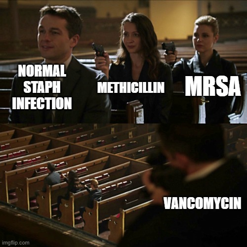 Assassination chain | NORMAL STAPH INFECTION; MRSA; METHICILLIN; VANCOMYCIN | image tagged in assassination chain | made w/ Imgflip meme maker