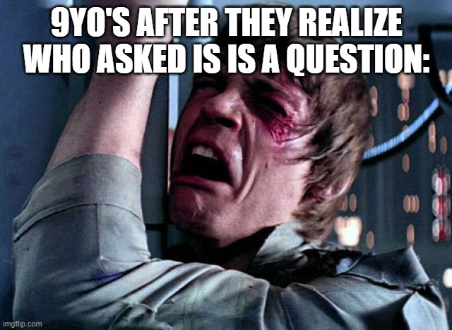 Nooo | 9YO'S AFTER THEY REALIZE WHO ASKED IS IS A QUESTION: | image tagged in nooo,memes | made w/ Imgflip meme maker