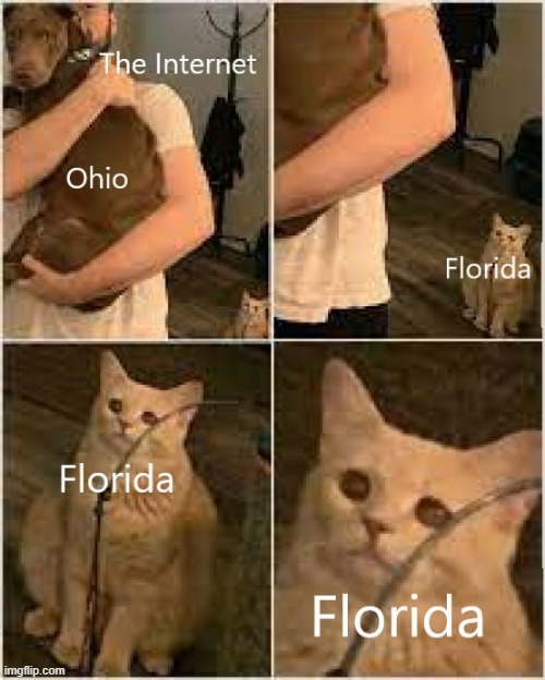 Florida needs some recognition too | image tagged in memes,funny,ohio,florida | made w/ Imgflip meme maker