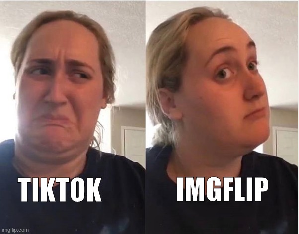 If you do not agree, Than please stop using ImgFlip... | IMGFLIP; TIKTOK | image tagged in hmmm,ah yes,so true memes,tiktok sucks | made w/ Imgflip meme maker