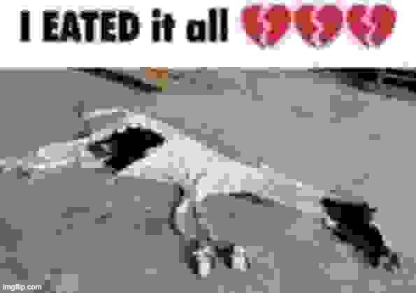 . | image tagged in i eated it all | made w/ Imgflip meme maker