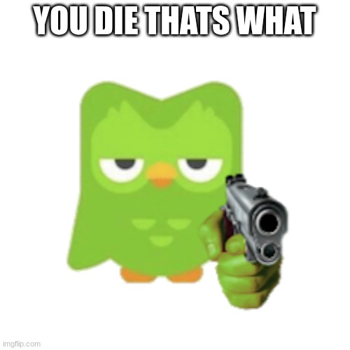 Duolingo | YOU DIE THATS WHAT | image tagged in duolingo | made w/ Imgflip meme maker