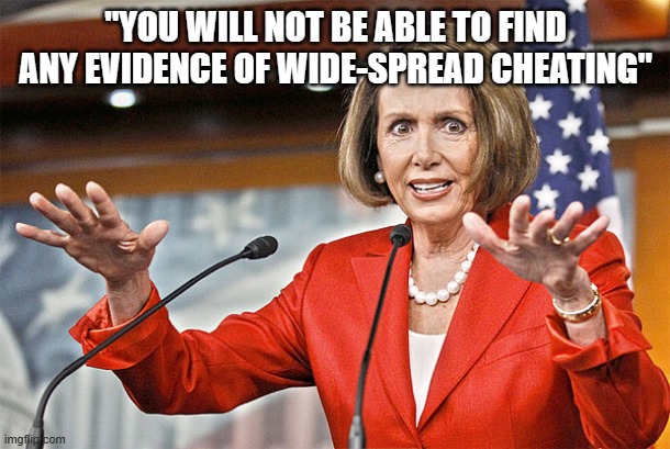 Nancy Pelosi is crazy | "YOU WILL NOT BE ABLE TO FIND ANY EVIDENCE OF WIDE-SPREAD CHEATING" | image tagged in nancy pelosi is crazy | made w/ Imgflip meme maker