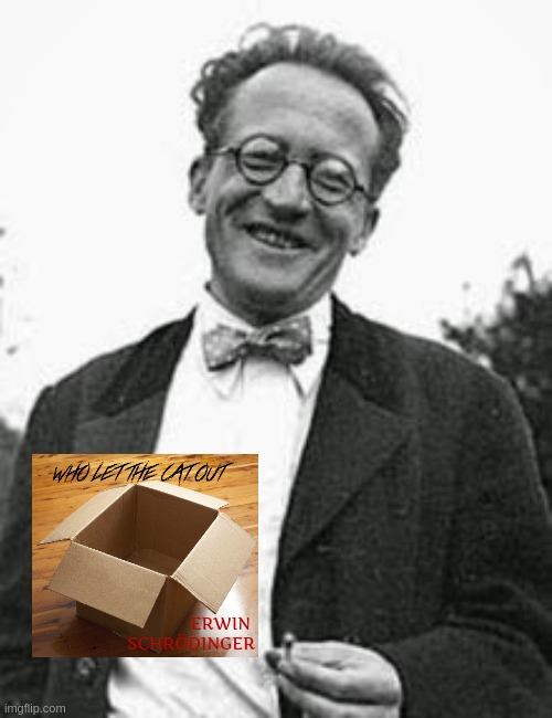 The LP would storm the charts, if Schrödinger was a metalhead and musician | ERWIN 
SCHRÖDINGER | image tagged in meme,funny,cat,schrodinger,music,hard rock | made w/ Imgflip meme maker