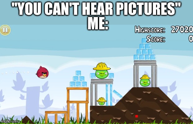 Anyone else? | "YOU CAN'T HEAR PICTURES"; ME: | image tagged in angry birds,gen z | made w/ Imgflip meme maker