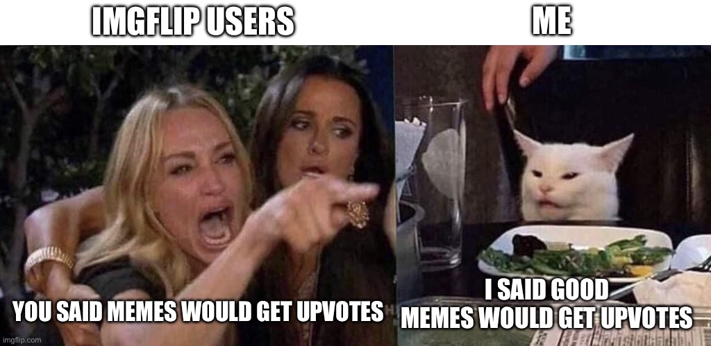 GOOD MEMES | IMGFLIP USERS; ME; I SAID GOOD MEMES WOULD GET UPVOTES; YOU SAID MEMES WOULD GET UPVOTES | image tagged in woman yelling at cat | made w/ Imgflip meme maker