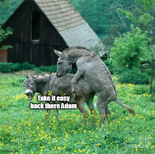 Take it easy back there Adam | made w/ Imgflip meme maker