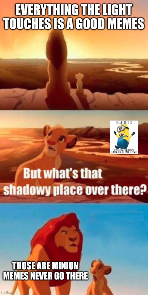 Lion King | EVERYTHING THE LIGHT TOUCHES IS A GOOD MEMES; THOSE ARE MINION MEMES NEVER GO THERE | image tagged in memes,simba shadowy place | made w/ Imgflip meme maker