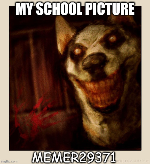 Smile Dog | MY SCHOOL PICTURE; MEMER29371 | image tagged in smile dog | made w/ Imgflip meme maker