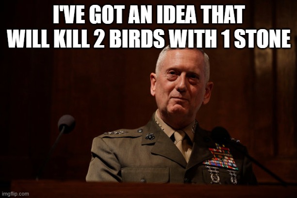 General Mattis  | I'VE GOT AN IDEA THAT WILL KILL 2 BIRDS WITH 1 STONE | image tagged in general mattis | made w/ Imgflip meme maker