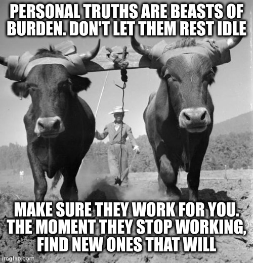 Test your truths | PERSONAL TRUTHS ARE BEASTS OF
BURDEN. DON'T LET THEM REST IDLE; MAKE SURE THEY WORK FOR YOU.
THE MOMENT THEY STOP WORKING,
FIND NEW ONES THAT WILL | image tagged in beasts of burden | made w/ Imgflip meme maker