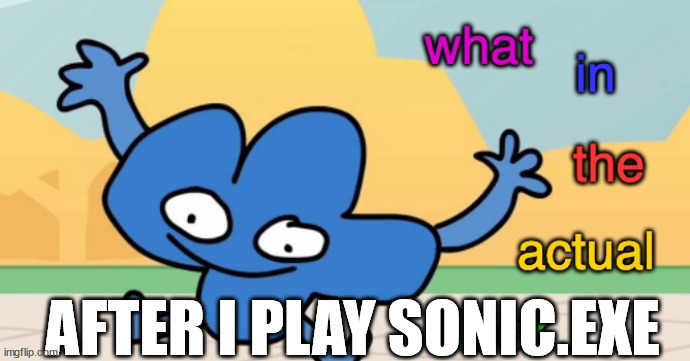 what in the actual F | AFTER I PLAY SONIC.EXE | image tagged in what in the actual f | made w/ Imgflip meme maker