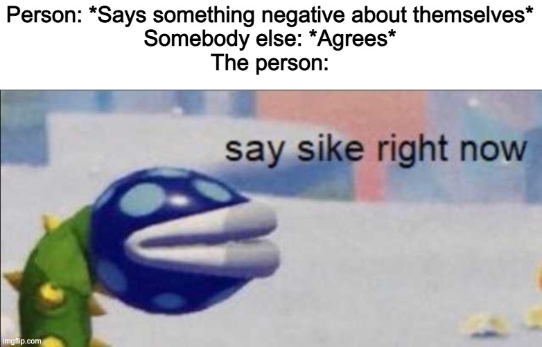 People be like this tho | Person: *Says something negative about themselves*
Somebody else: *Agrees*
The person: | image tagged in say sike right now | made w/ Imgflip meme maker