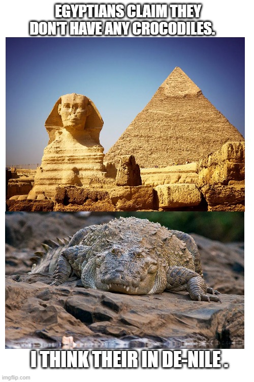 Egyptians | EGYPTIANS CLAIM THEY DON'T HAVE ANY CROCODILES. I THINK THEIR IN DE-NILE . | image tagged in memes,crocodile,eyeroll | made w/ Imgflip meme maker