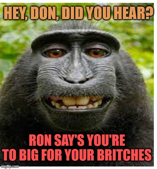It's so on! | HEY, DON, DID YOU HEAR? RON SAY'S YOU'RE TO BIG FOR YOUR BRITCHES | image tagged in donald trump,maga,florida,burn,american politics | made w/ Imgflip meme maker