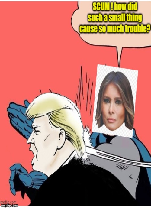 Little head wins | image tagged in trump,melania trump,slap,cheater,american politics | made w/ Imgflip meme maker